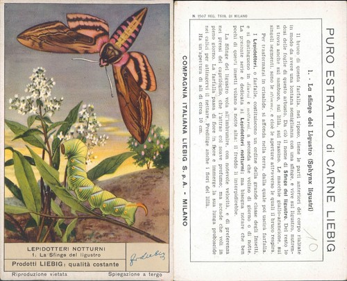 Figurina liebig anni - figurina,