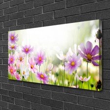 Tulup Stampa su Tela Wall art