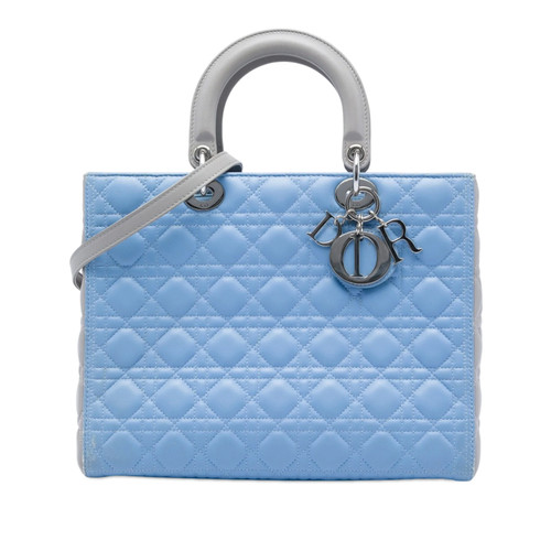 Dior large bicolor cuir - large,