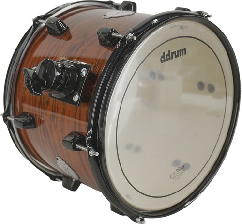 Ddrum dominion betulla x - betulla,