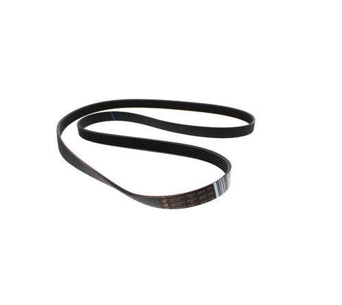 Cinghia elastica aqualtis 1194 - cinghia,