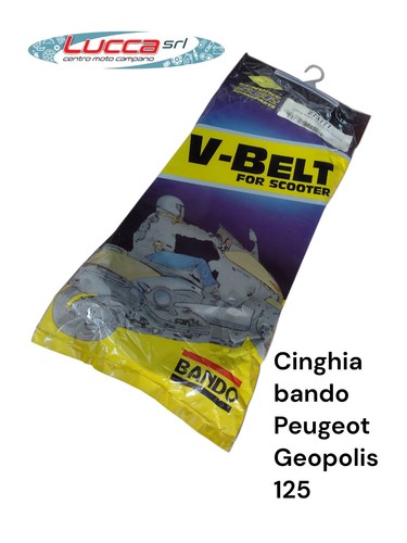 273777 cinghia trasmissione - 273777,