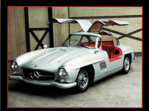 Thoroughbred mercedes 300sl - thoroughbred,