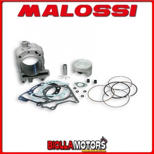 3113955 gruppo termico malossi - gruppo,