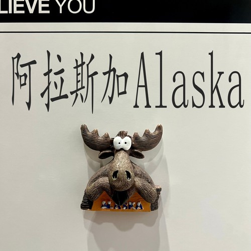 Calamita frigo resina alaska - calamita,