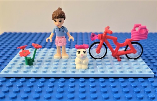 Lego friends minifigures - friends,