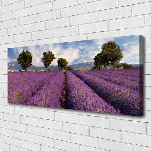 Stampa tela canvas - su, 125x50