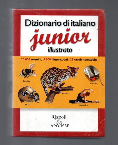 Libro dizionario italiano - libro,