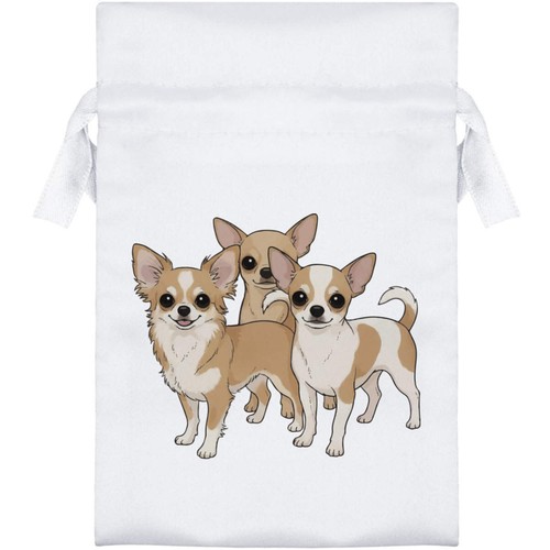 Chihuahua dog family - dog, family'