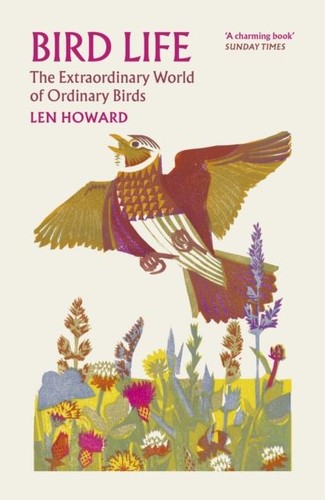 Bird life the extraordinary - bird,