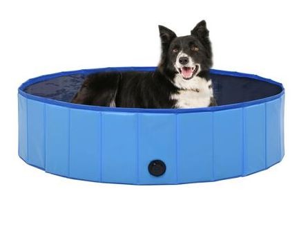 Piscina pieghevole cani gatti - piscina,