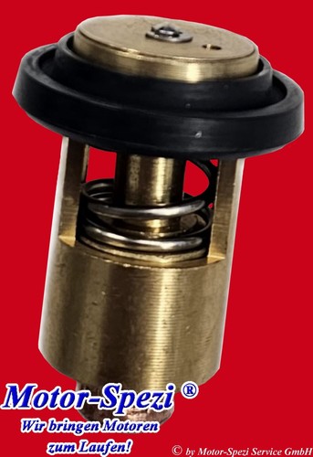 Termostato adatto per yanmar - adatto,
