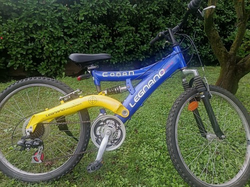 Bicicletta mountain bike - mountain,