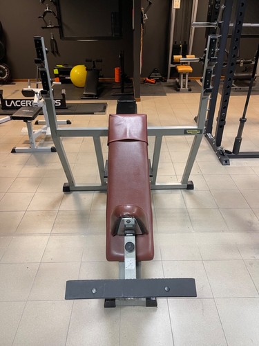 Panca inclinata technogym - inclinata,