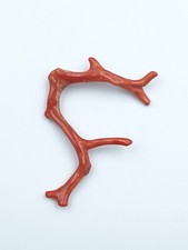 ramo di corallo rosso naturale