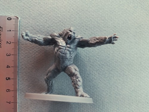 Gray man ape - gray,