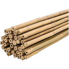 50 Canne di Bamboo per orto