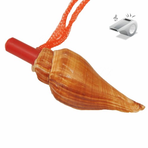 Fischietto conchiglia naturale