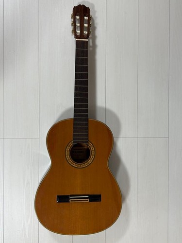 Chitarra classica takamine - chitarra,