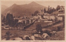 Pistoia cutigliano - -,