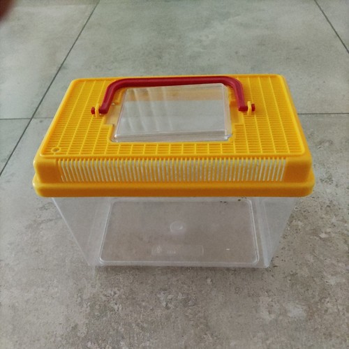 Vaschetta acquario plastica - vaschetta,