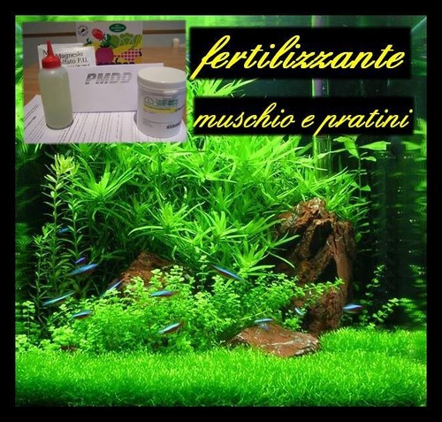 Fertilizzante piante acquario - fertilizzante,