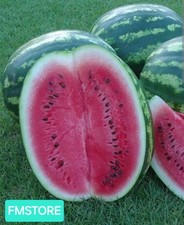 50 SEMI DI ANGURIA CRIMSON