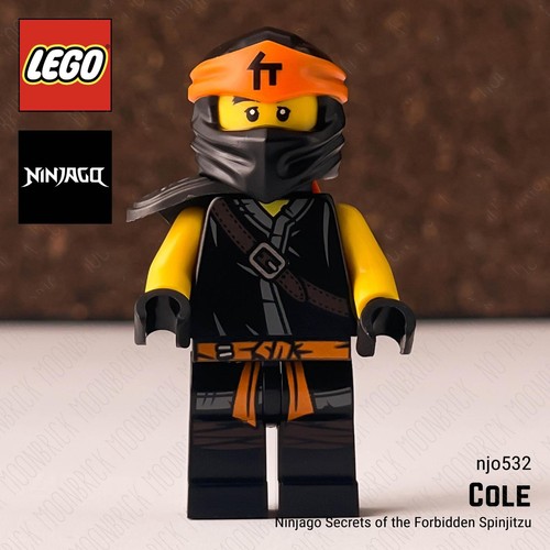 Lego cole njo0532 - 🌈,