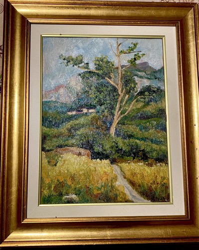 Vanella bosca - bosca, (canelli
