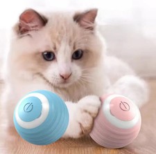 Pallina Interattiva per Gatti