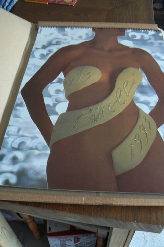 Calendario pirelli 1993 - calendario,