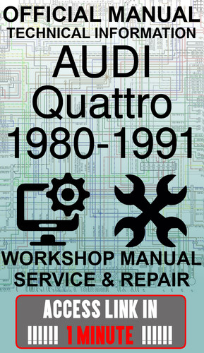 Access link manuale officina - access,