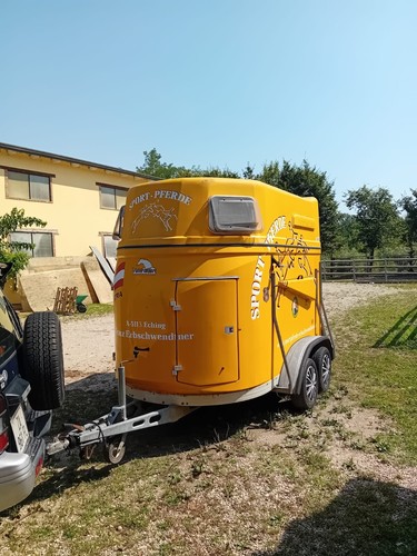 Van trasporto cavallli - van,