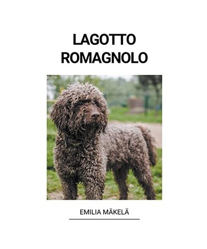 Lagotto romagnolo mäkelä - lagotto,