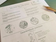 Fournitures/Parts Valjoux 72