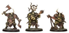 Blight Templars x3 Warhammer