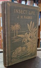 Insect Life - Souvenirs of a