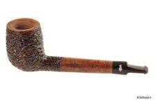 Pipa Santambrogio rusticata -