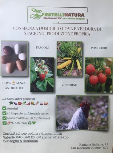 Verdura uova biologiche - uova, di