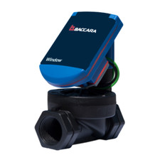 Programmatore Window a