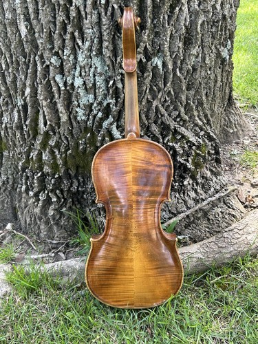Antico violino da - antico,