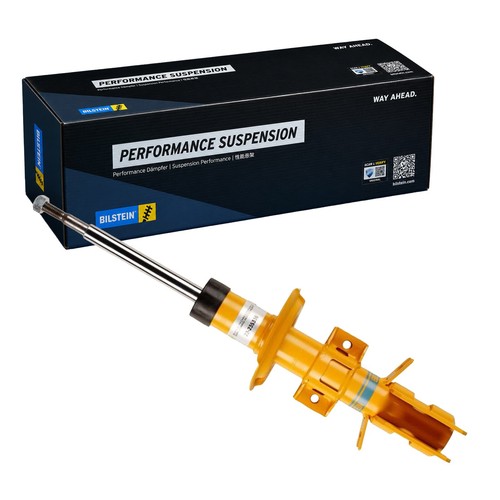 Ammortizzatore pressione gas - pressione,