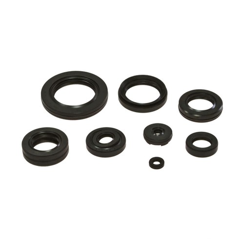 Kit guarnizioni paraoli motore - kit,