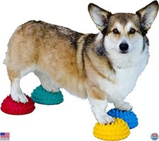 FitPAWS Paw Pods Attrezzatura