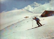 CARTOLINA  DI MONESI - IMPERIA