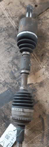 Semialbero ant compl sx - semialbero, compl.
