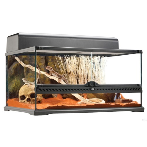 Exo terra terrarium 60x45x30 - terra,