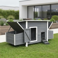 Pollaio Pollaio Grigio Pollaio