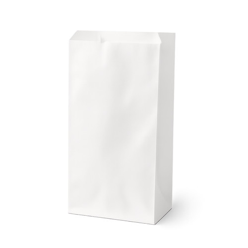 10kg sacchetti carta bianca - sacchetti,