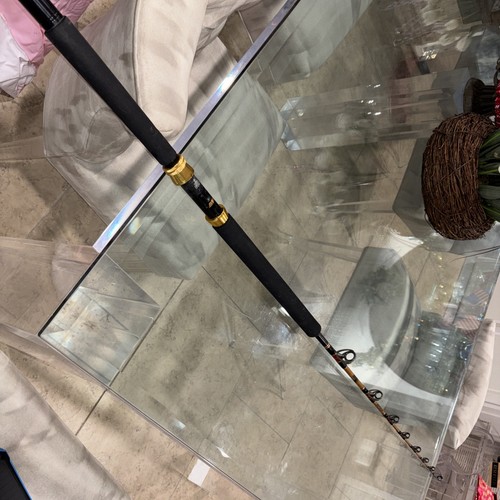 Canna pesca sabre custom - da,